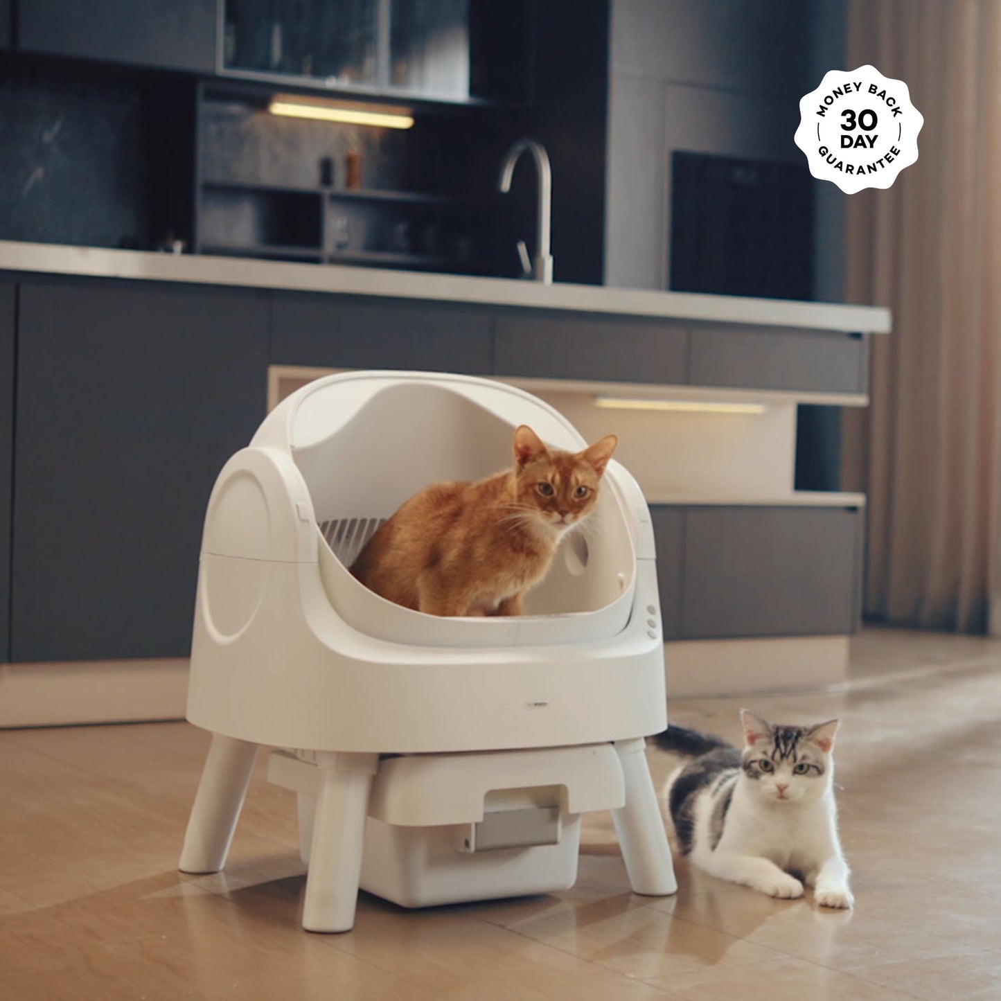 PawPivot AutoScoop Pro – Smart Self Cleaning Litter Box