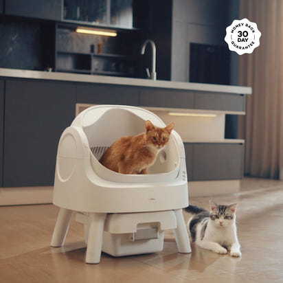 PawPivot AutoScoop Pro – Smart Self Cleaning Litter Box