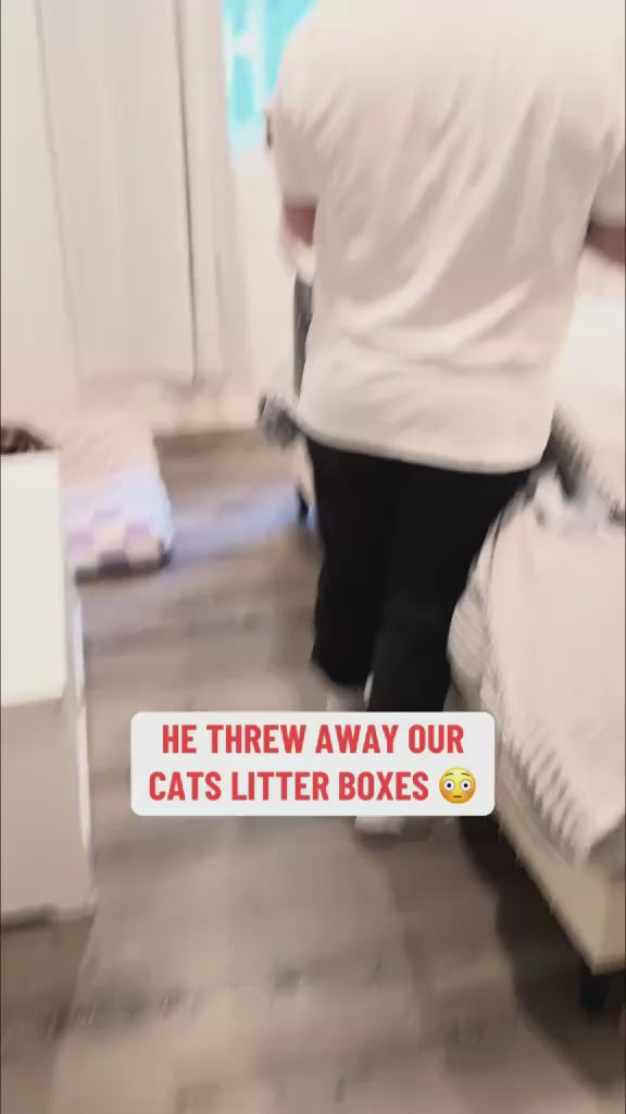 PawPivot AutoScoop Pro – Smart Self Cleaning Litter Box video