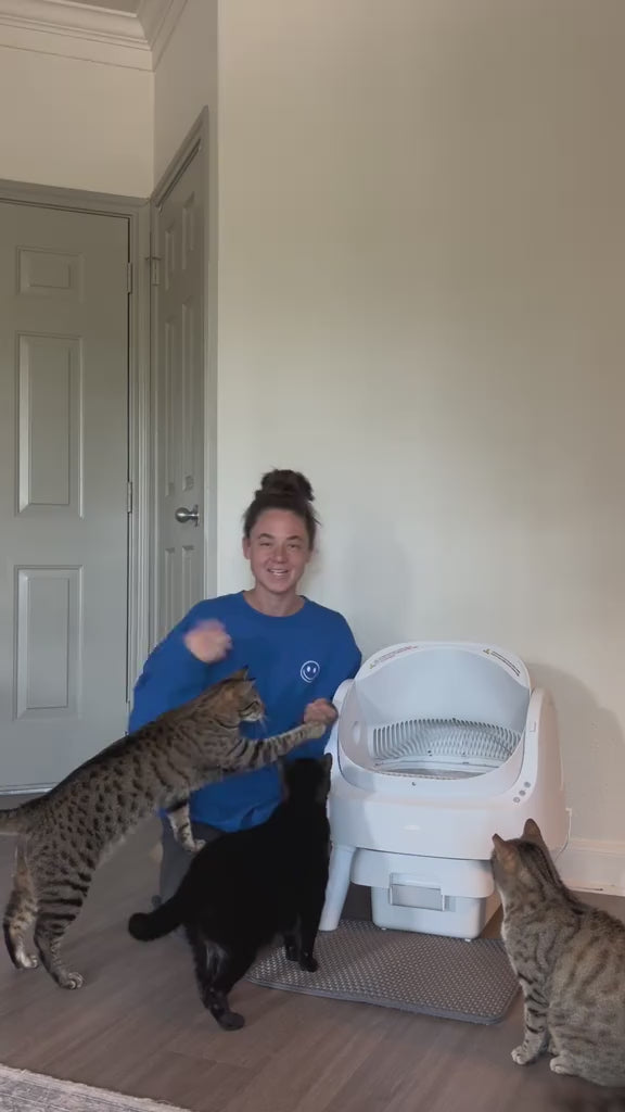 PawPivot AutoScoop Pro – Smart Self Cleaning Litter Box video